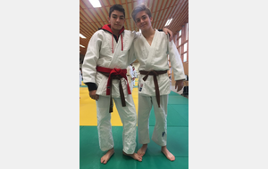 Résultats Tournoi Régional Cadets des Cimes Tarbes 8 avril 2018