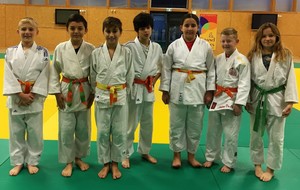 Stage Benjamins, Minimes et Cadets 65 Tarbes 16 décembre 2018