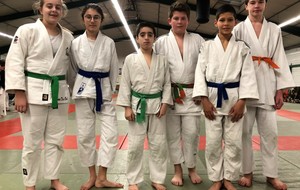 Résultats Coupe Départementale Benjamins/Minimes 65 Vic 13 janvier 2019