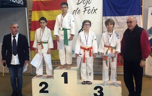 Résultats Demi-Finale Régionale Benjamins/Minimes Foix 2 février 2019