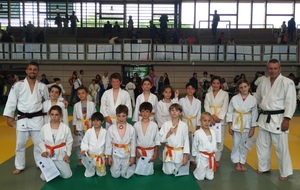 574ece1789f32_LesPetitsTigresduJudoClubTarbaisenpleineforme.JPG