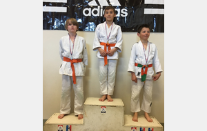 58d11f383dcd6_PodiumBenjamins34kg2.JPG