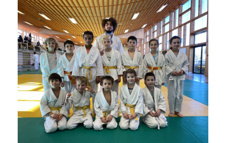 Animation Plateau Technique Mini-Poussins/Poussins 65 Tarbes 12 décembre 2021