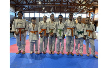 Résultats Tournoi du Haut-Adour Bagnères 11 novembre 2022